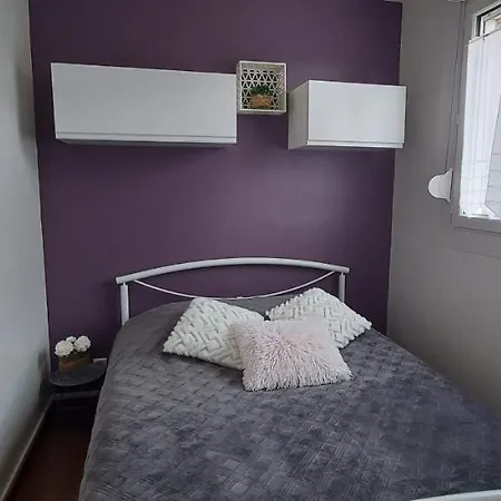 Laennec Confort Les Lille - Proche Chr Et Fac Medecine - Menage Et Linge En Option Appartement *