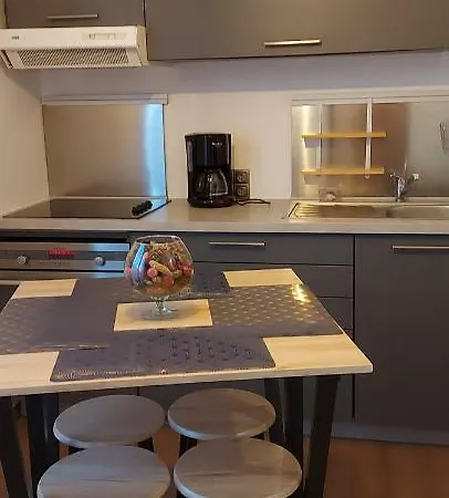 Laennec Confort Les Lille - Proche Chr Et Fac Medecine - Menage Et Linge En Option Appartement