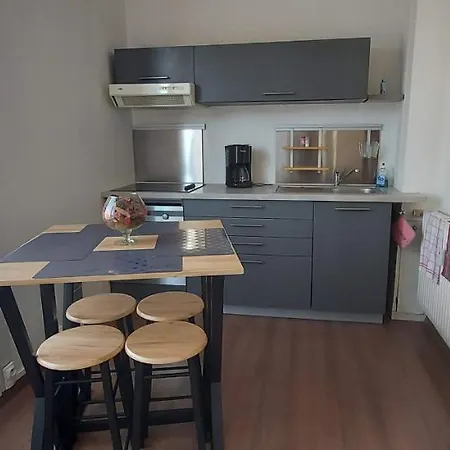 Laennec Confort Les Lille - Proche Chr Et Fac Medecine - Menage Et Linge En Option Loos