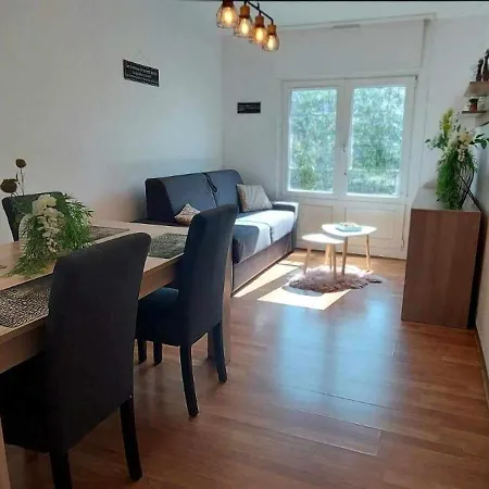 Laennec Confort Les Lille - Proche Chr Et Fac Medecine - Menage Et Linge En Option *