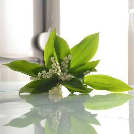 Laennec Confort Les Lille - Proche Chr Et Fac Medecine - Menage Et Linge En Option Appartement Loos